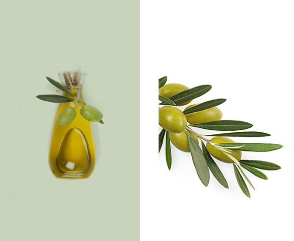 oliva