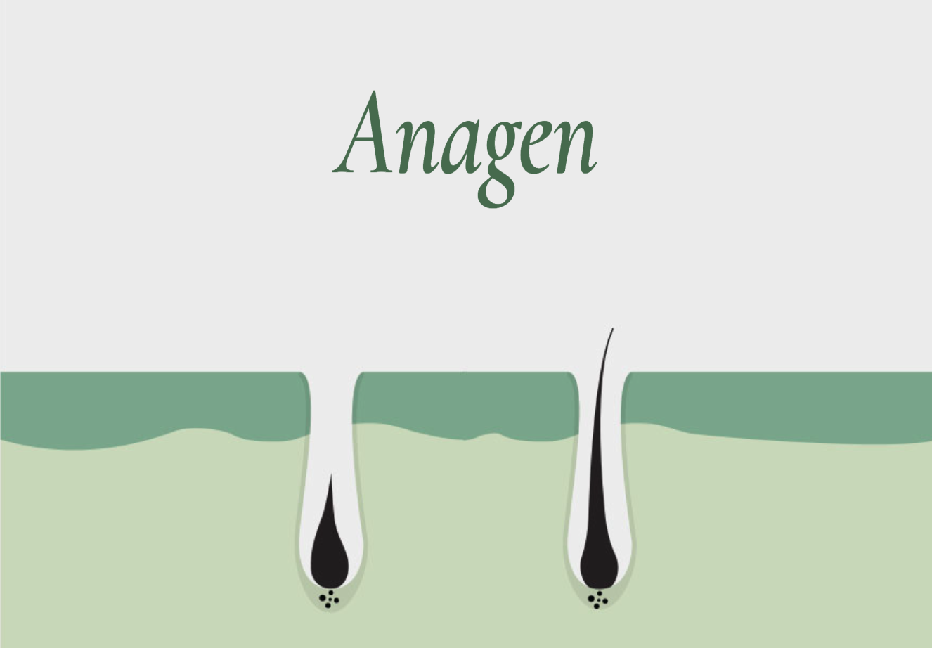 landing perdita capelli - img-txt 2