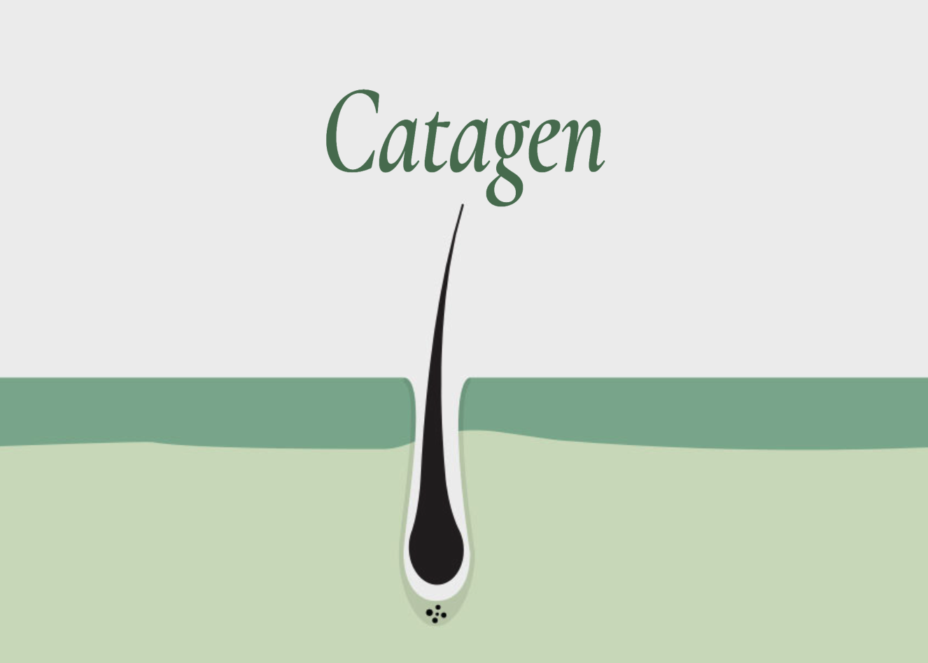 landing perdita capelli - img-txt 3