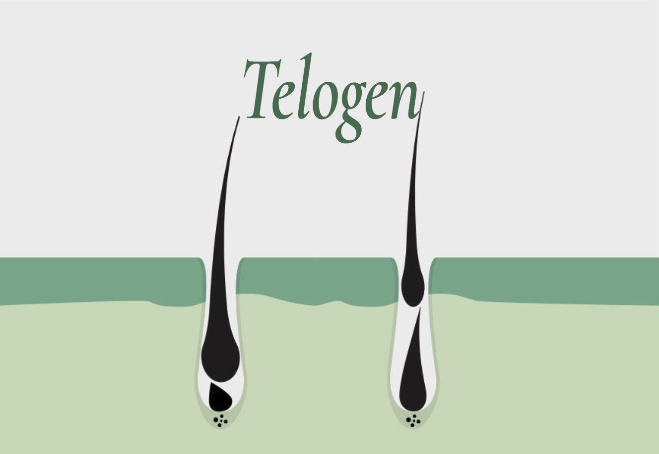 landing perdita capelli - img-txt 4