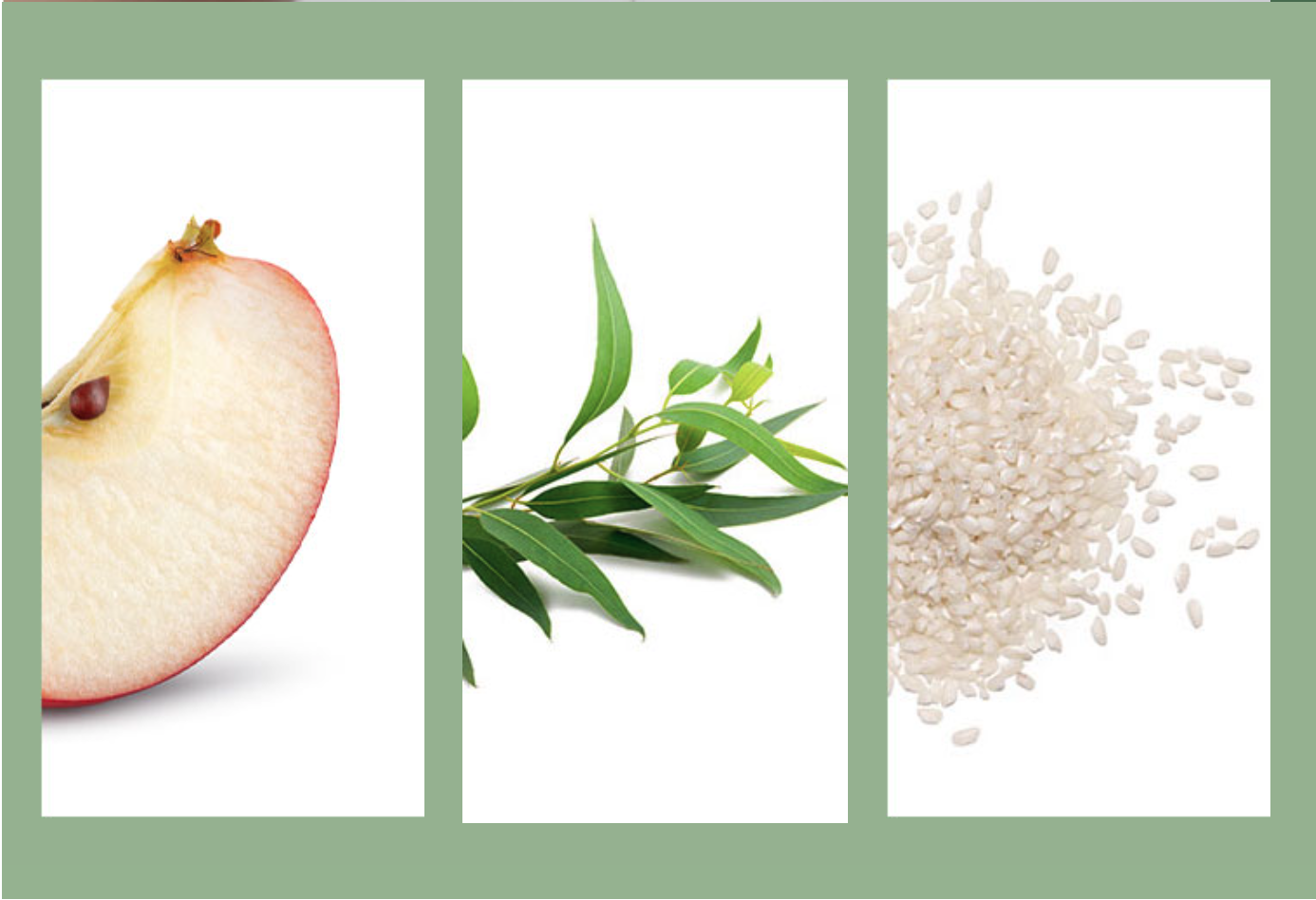 landing perdita capelli - img-txt 8