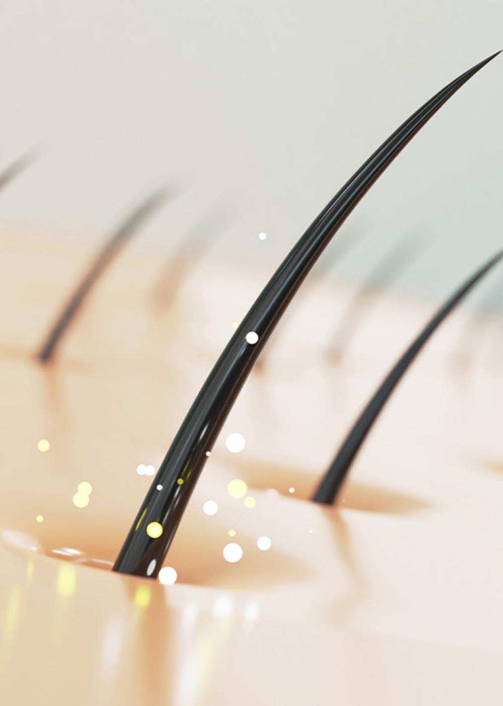 autotrapianto - grazie img+txt