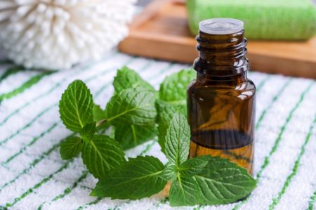 OLIO ESSENZIALE DI MENTA